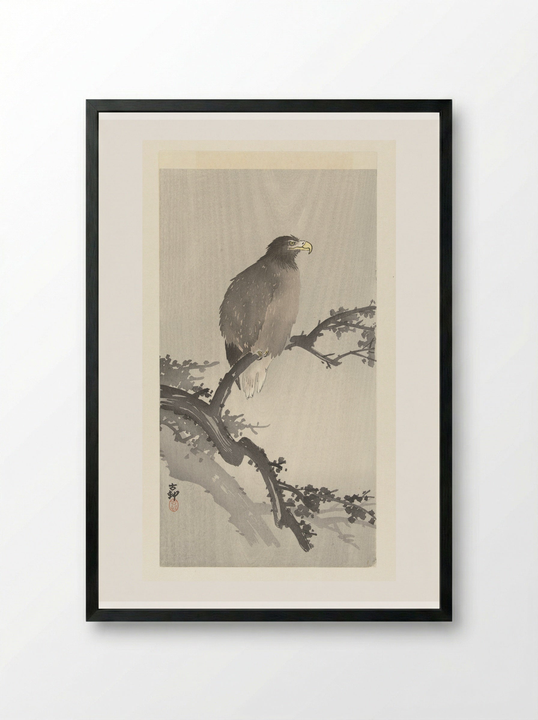 Sea Eagle on a Branch - Ohara Koson - Framed Print Black