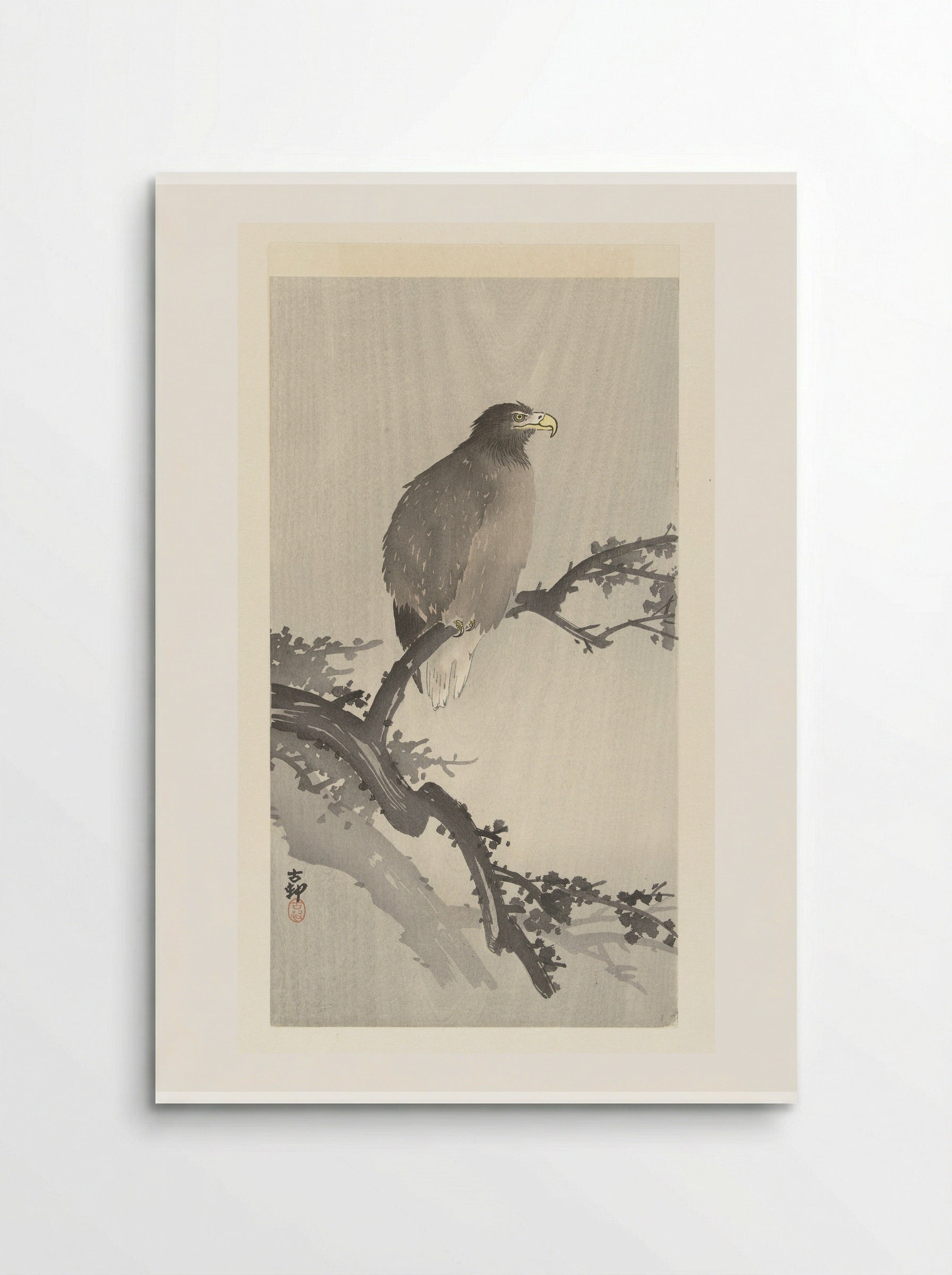 Sea Eagle on a Branch - Ohara Koson - Poster