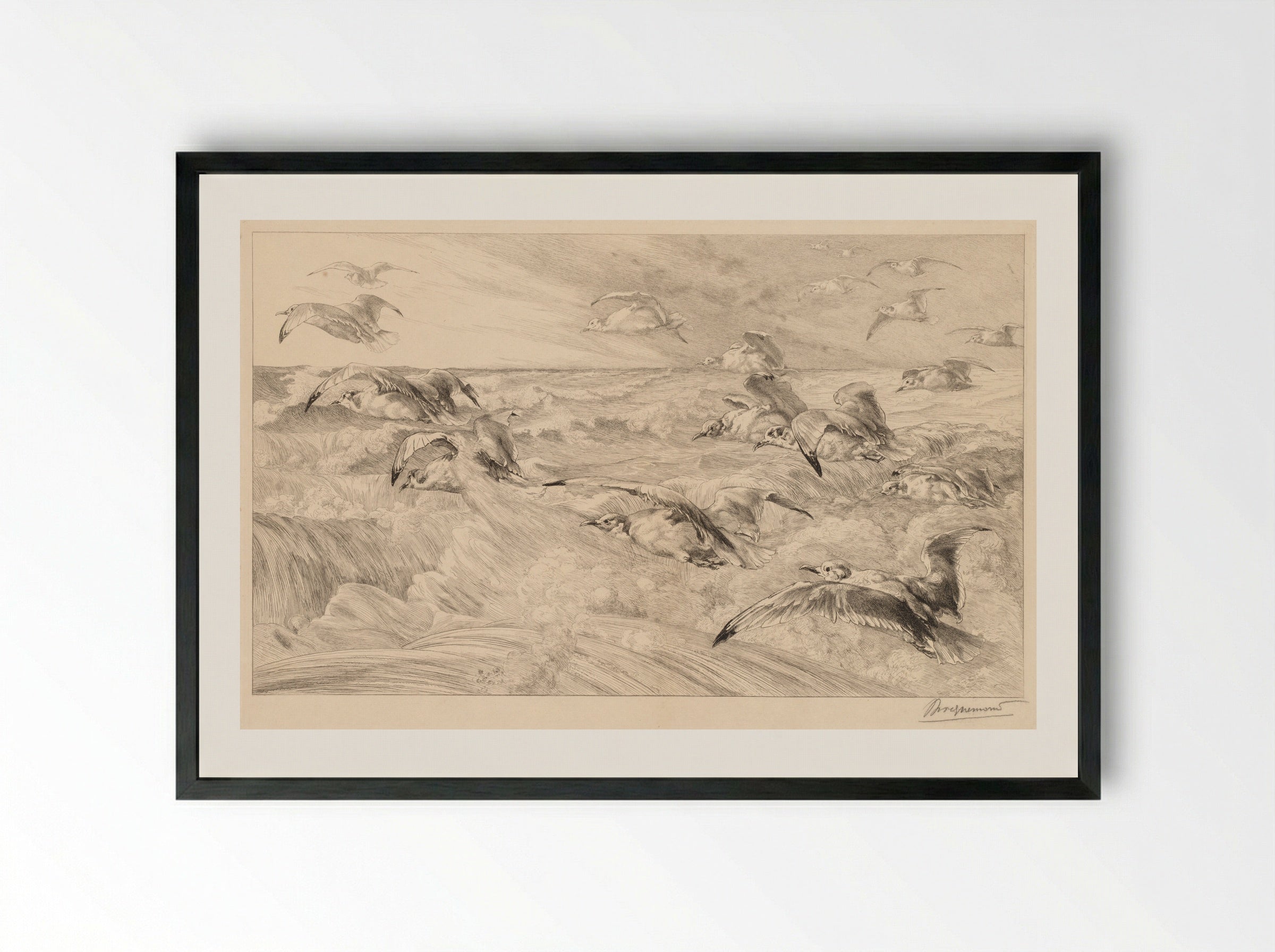 Seagulls (Les Mouettes) - Félix Bracquemond - Framed Print Black