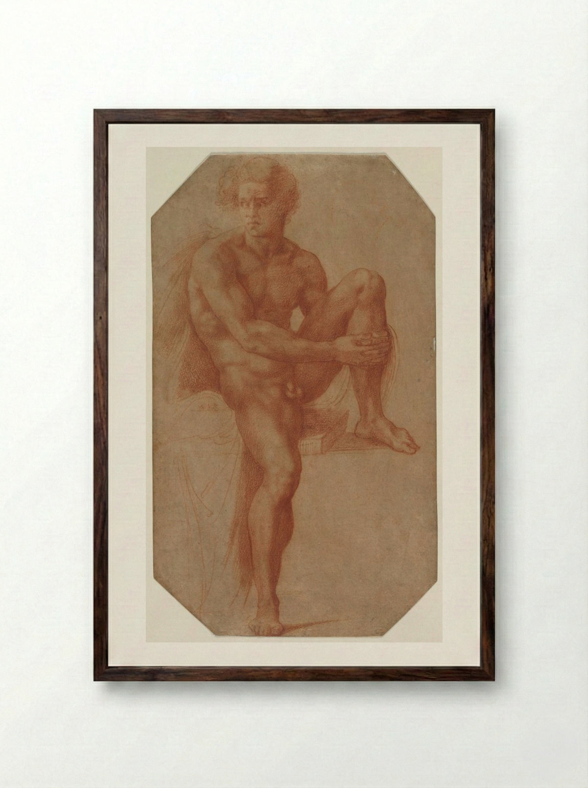 Seated Male Nude - Baccio Bandinelli - Framed Print Dark Wood