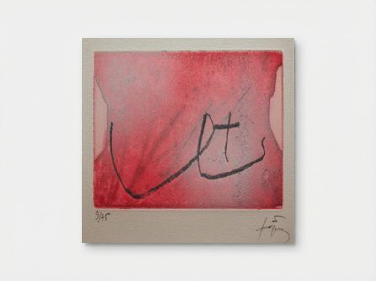 Seins - Antoni Tàpies - Poster