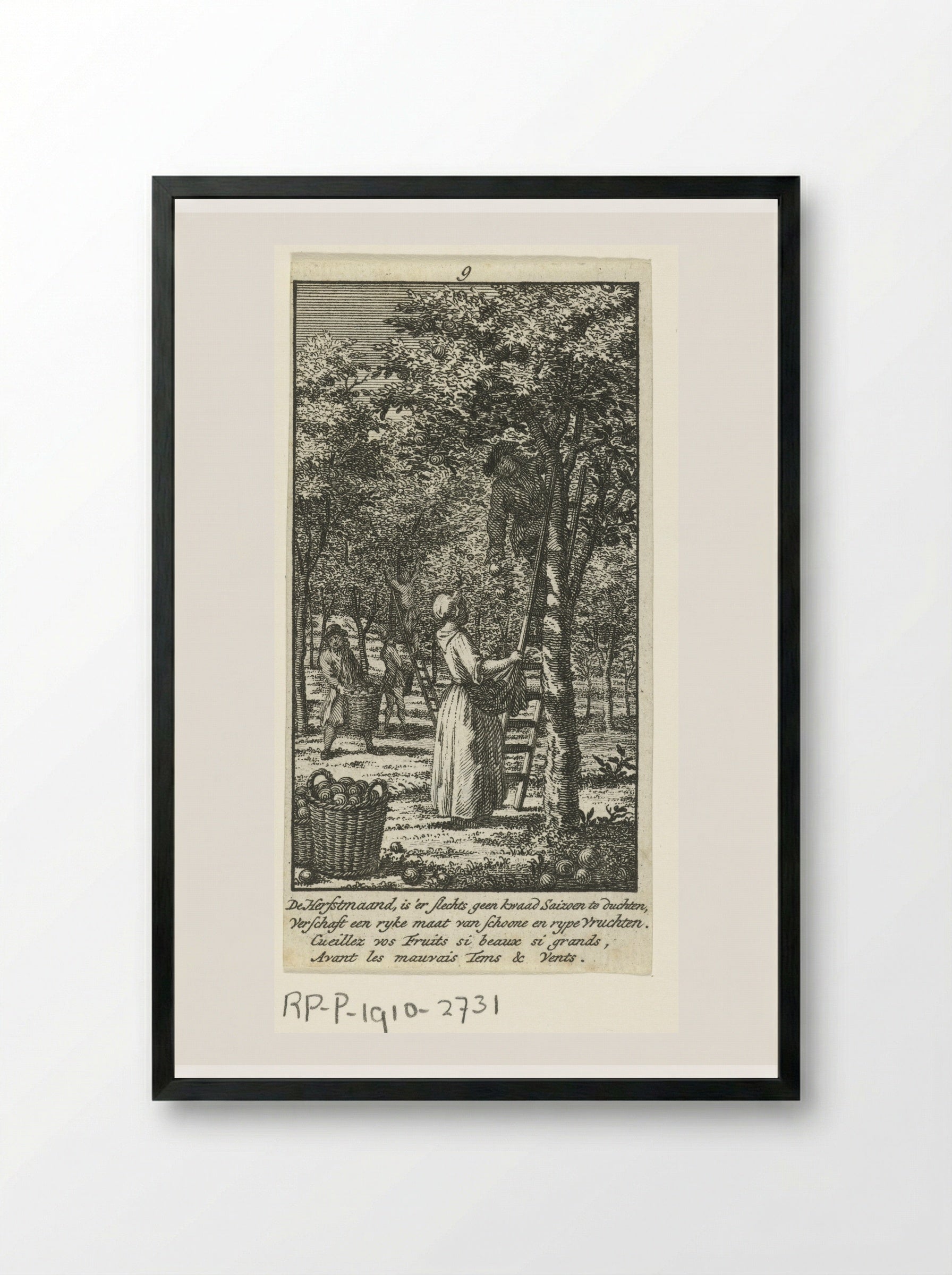 September: fruitoogst - Jan Caspar Philips - Framed Print Black