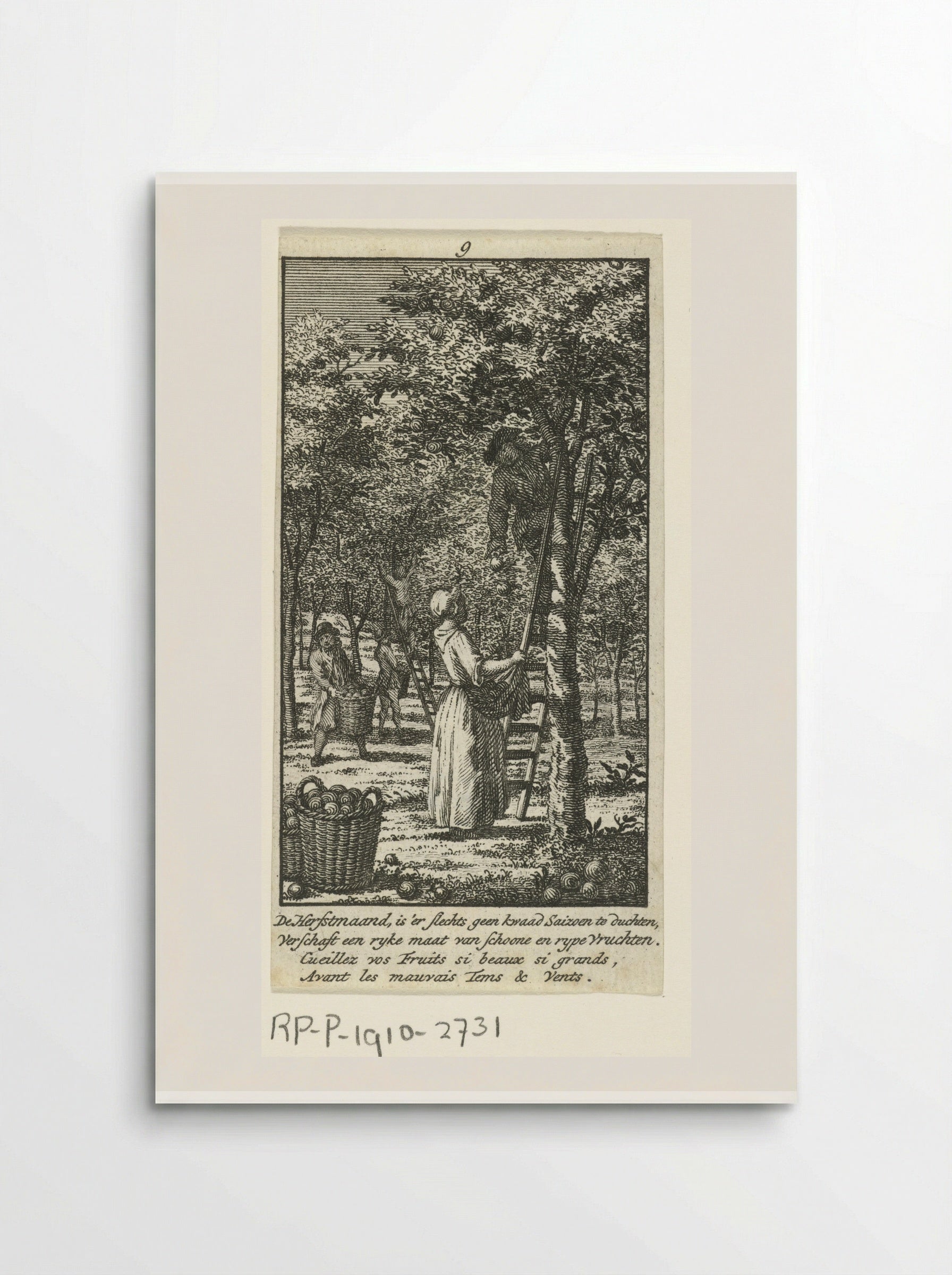 September: fruitoogst - Jan Caspar Philips - Poster