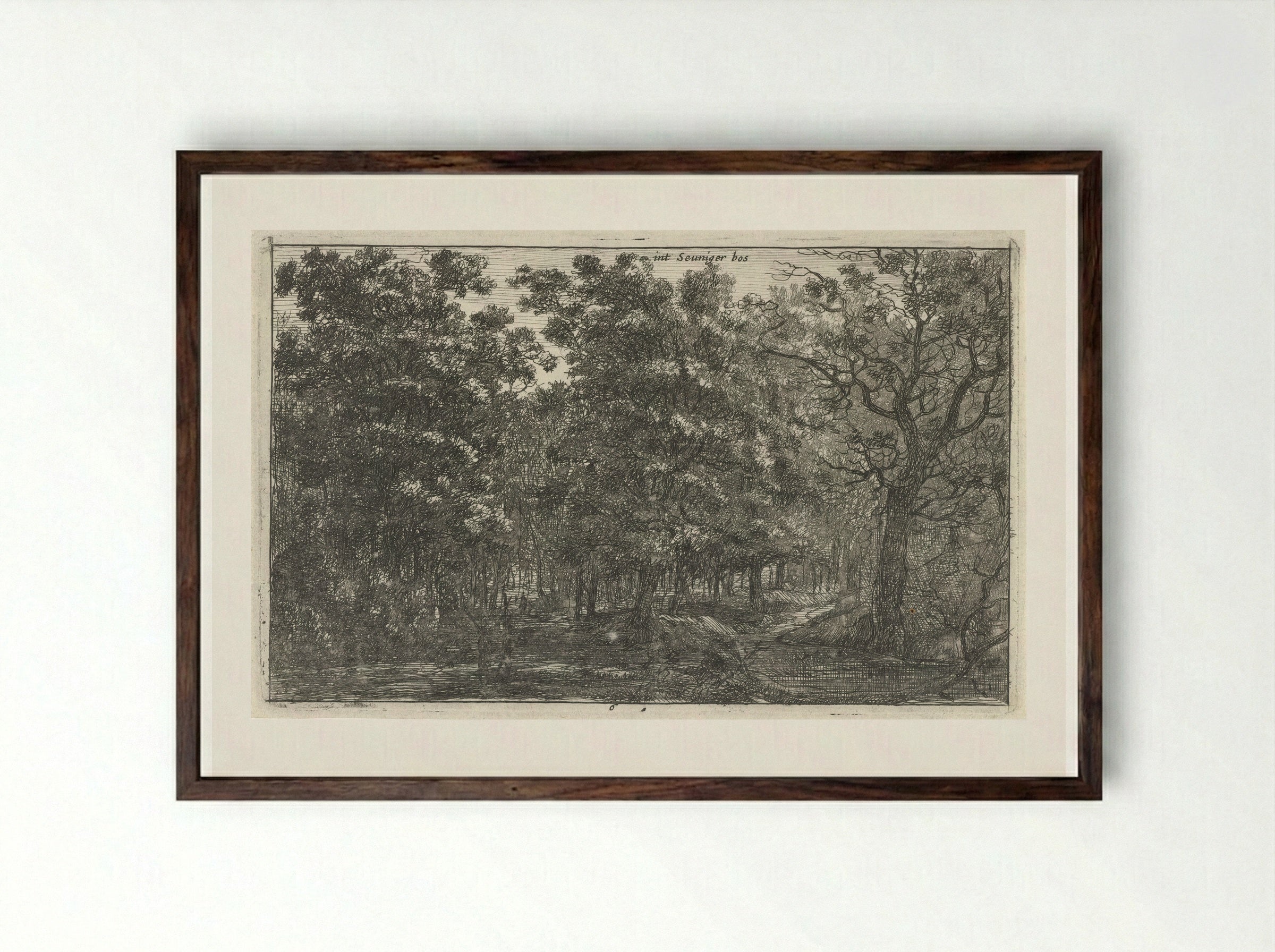 Seuniger bos - Roelant Roghman - Framed Print Dark Wood