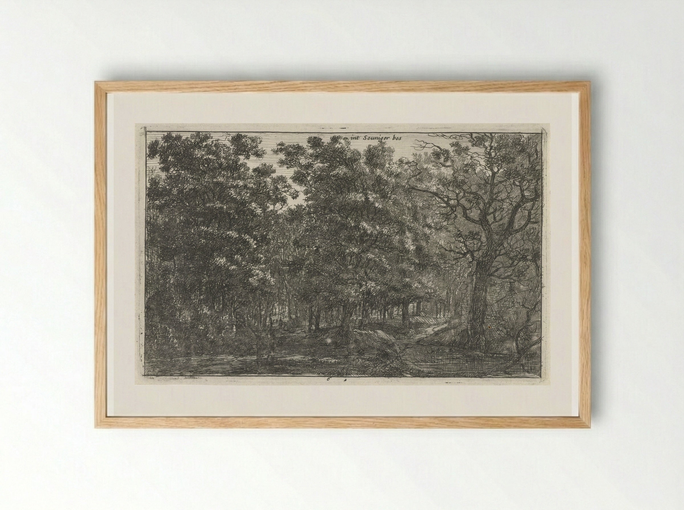 Seuniger bos - Roelant Roghman - Framed Print Wood