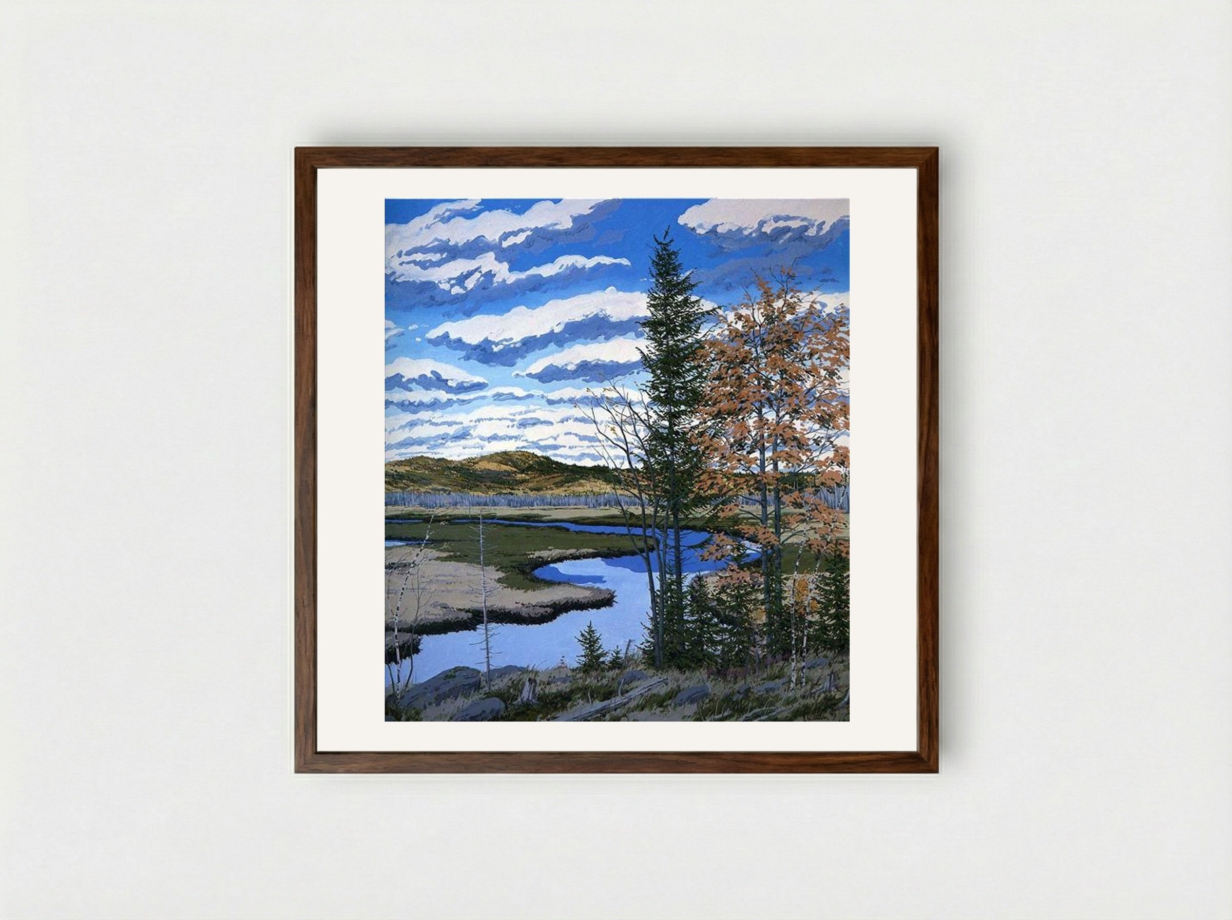 Shadow on Brigg's Meadow - Neil Welliver - Framed Print Dark Wood