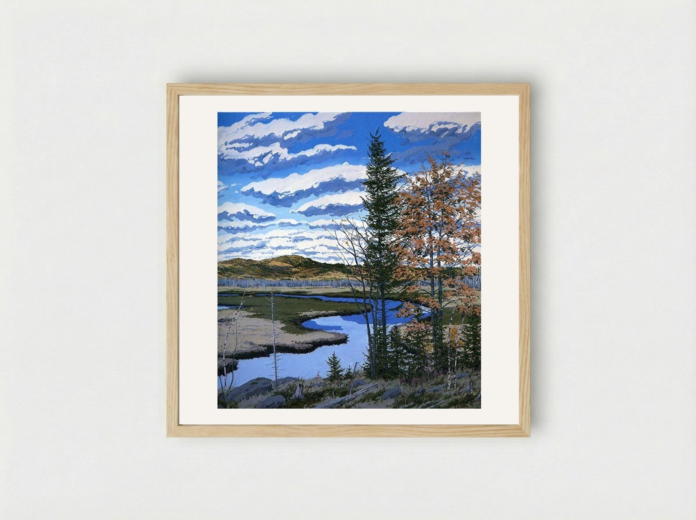 Shadow on Brigg's Meadow - Neil Welliver - Framed Print Wood