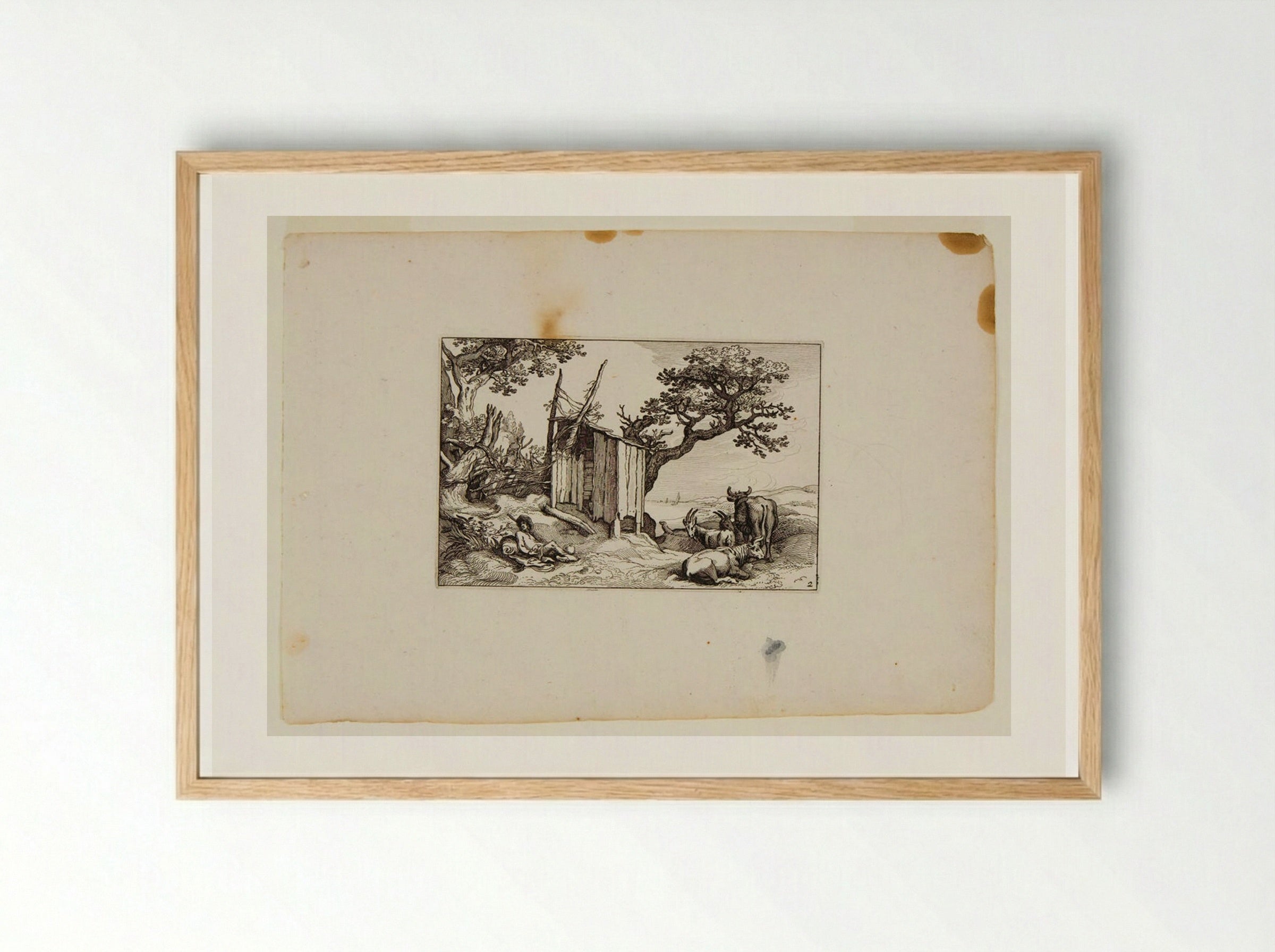 Shed with Herdsman to Left and Cows and Goats to Right - Claes Jansz. Visscher - Framed Print Wood
