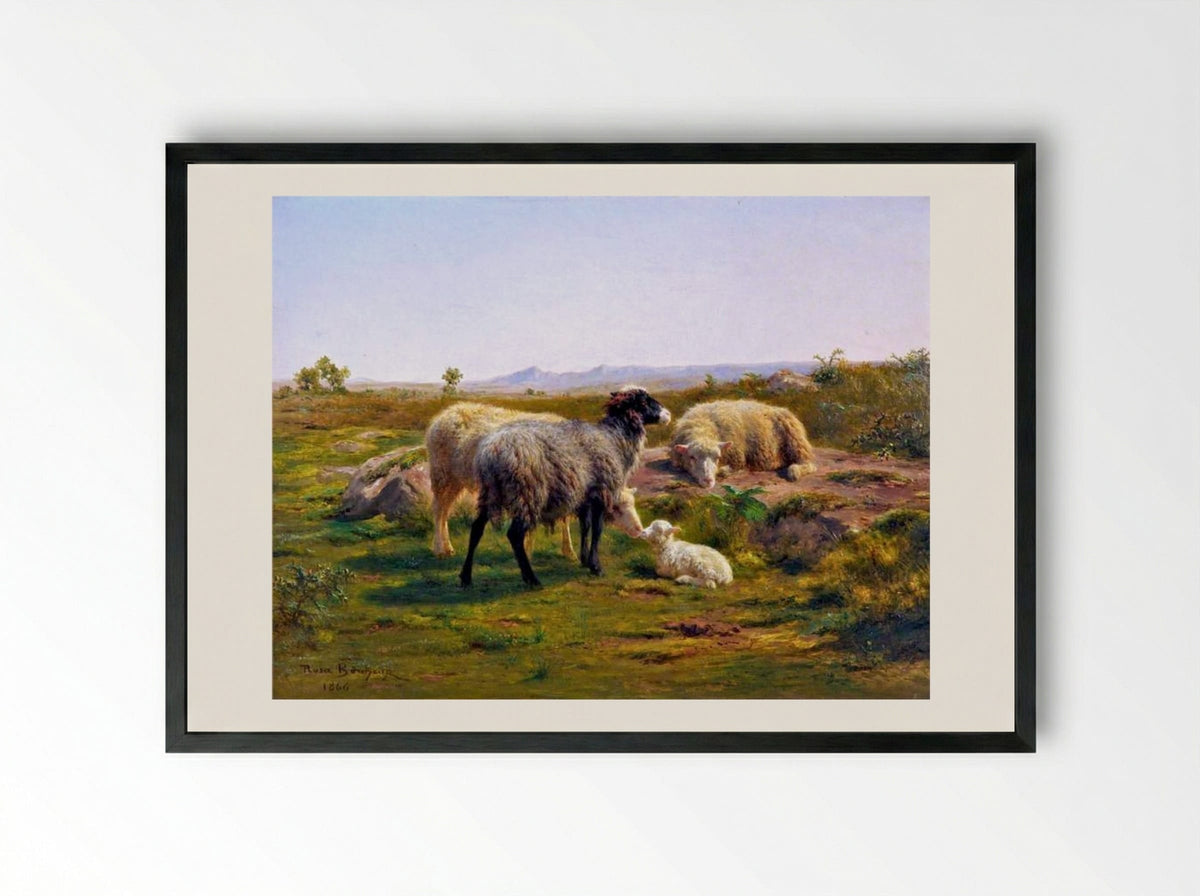 Sheep and a Lamb - Rosa Bonheur - Framed Print Black