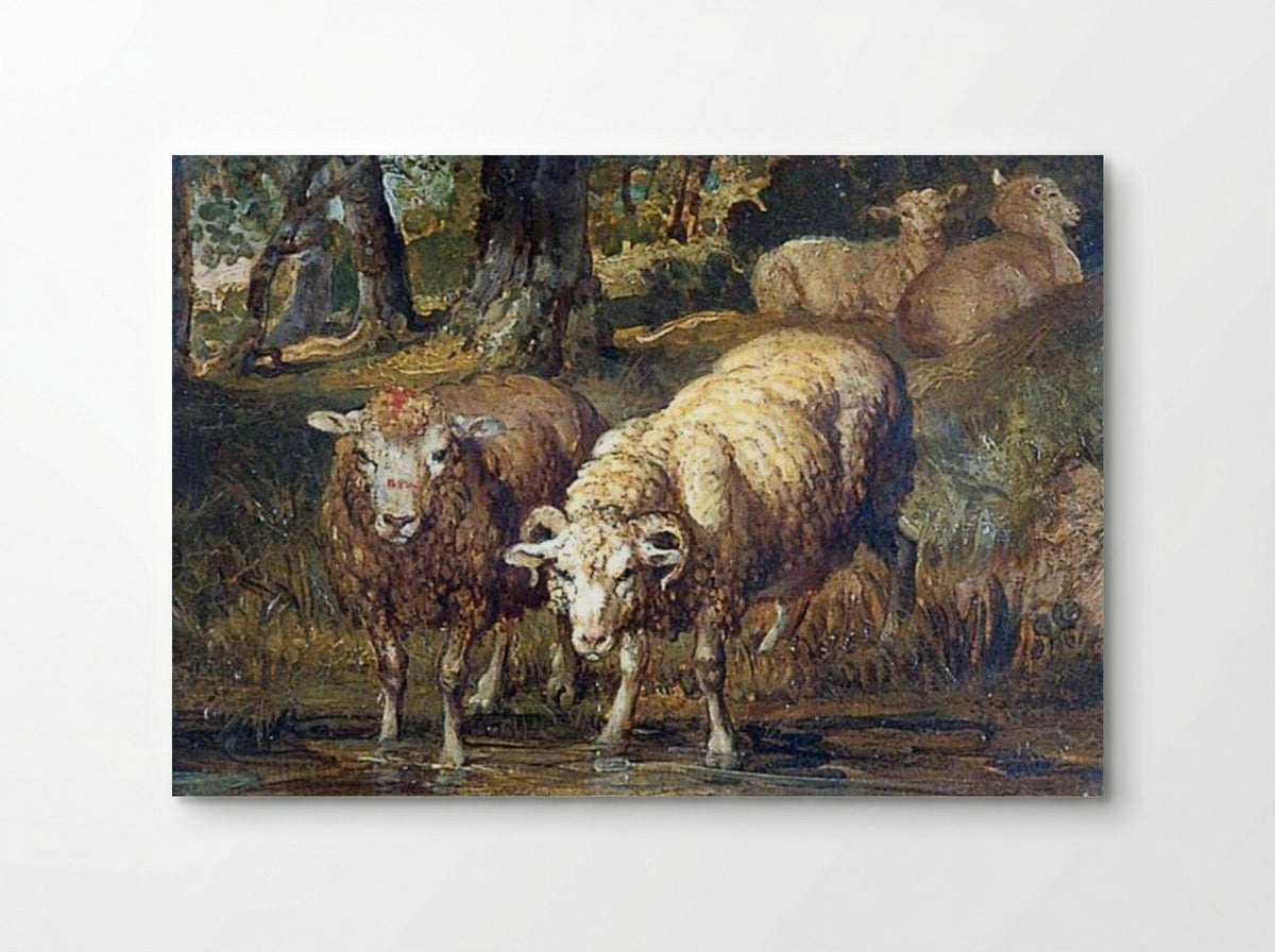 Sheep by a Stream - James Ward - Poster