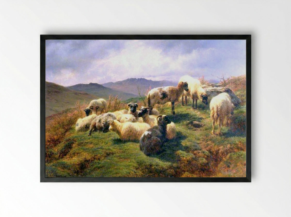 Sheep in the Highlands - Rosa Bonheur - Framed Print Black