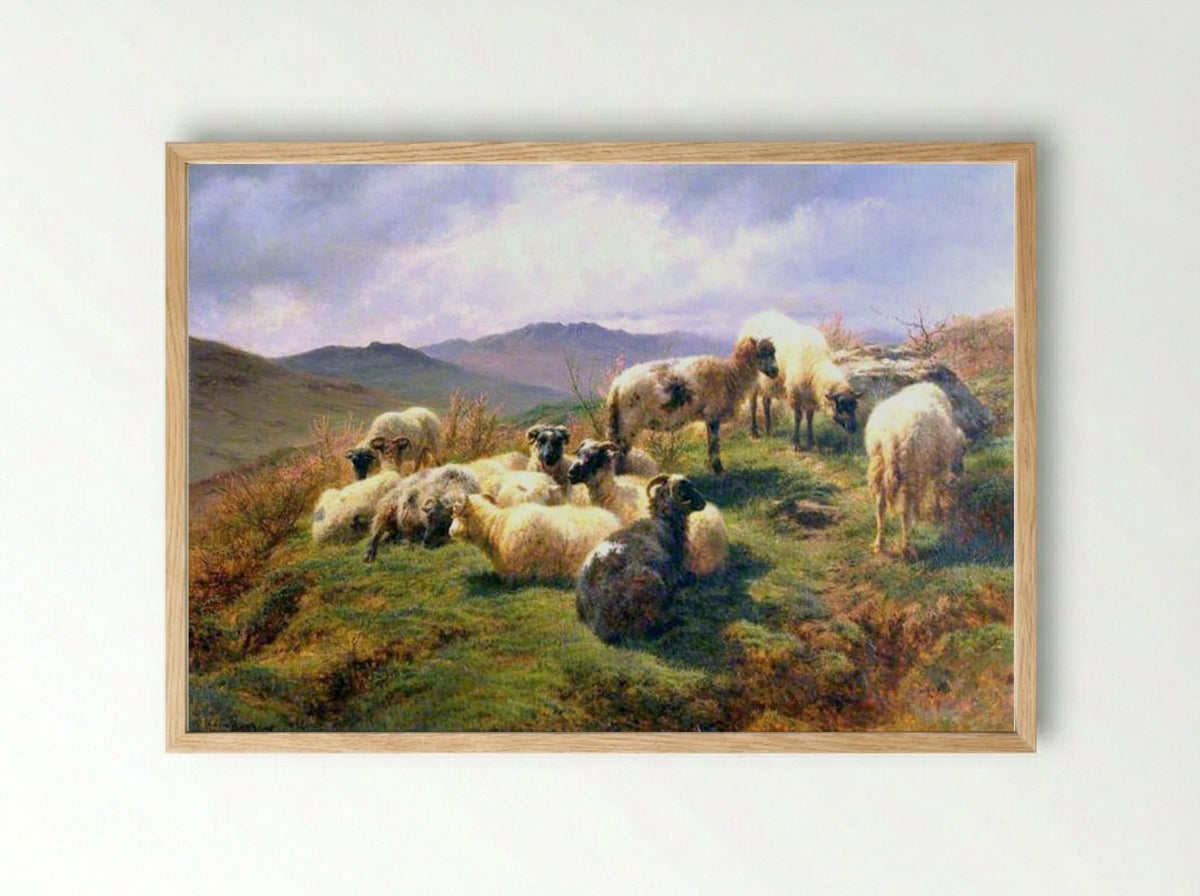 Sheep in the Highlands - Rosa Bonheur - Framed Print Wood