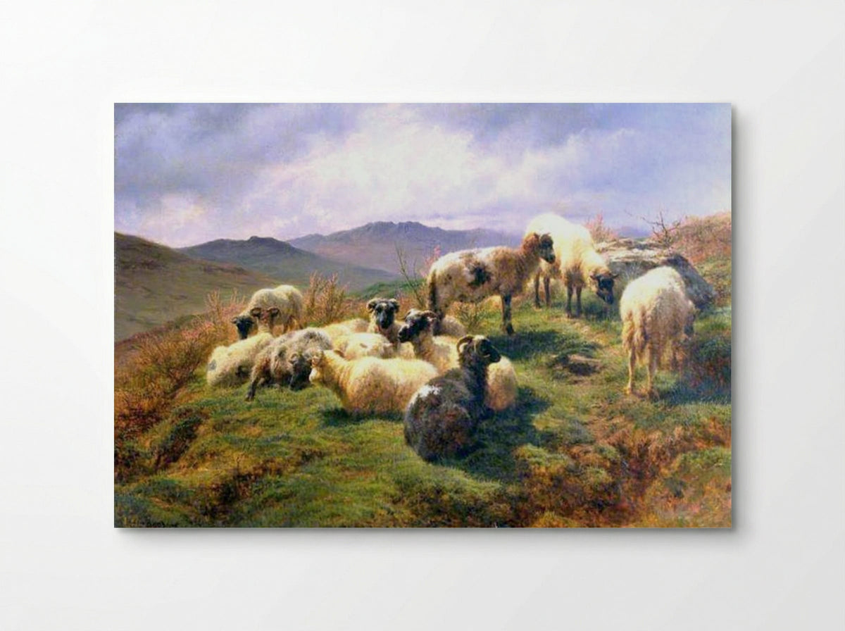 Sheep in the Highlands - Rosa Bonheur - Poster