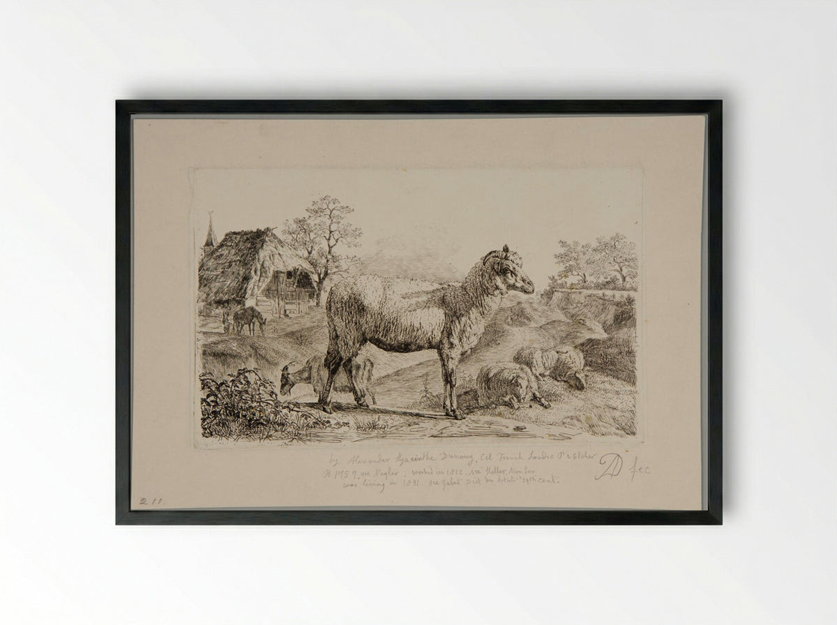 Sheep - Alexandre Hyacinthe Dunouy - Framed Print Black