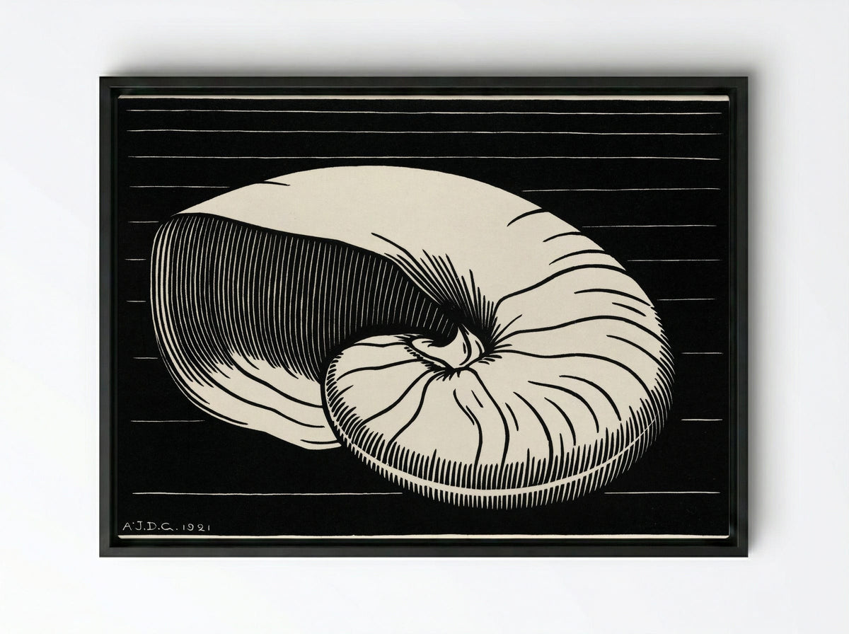 Shell - Julie de Graag - Framed Canvas Black