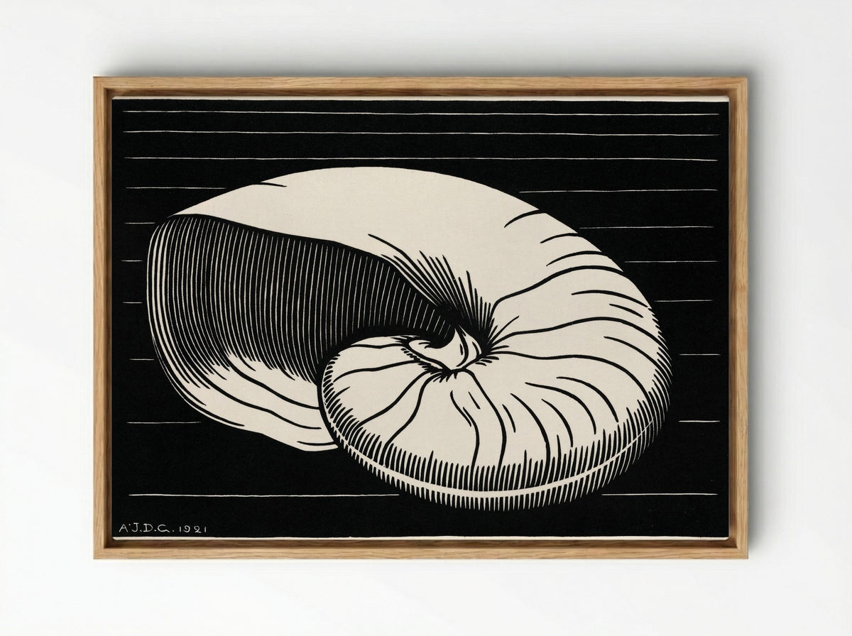 Shell - Julie de Graag - Framed Canvas Wood