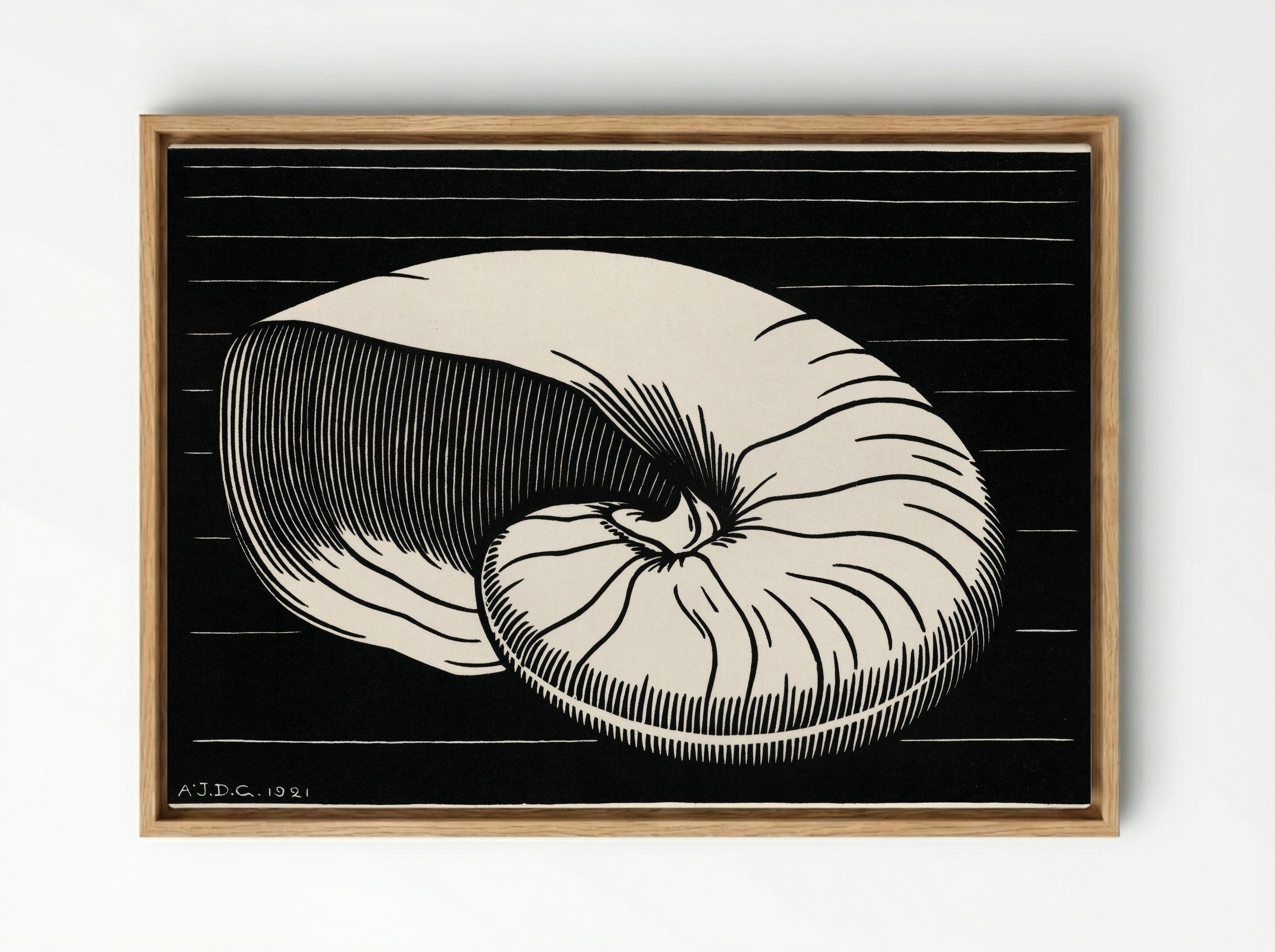 Shell - Julie de Graag - Framed Canvas Wood