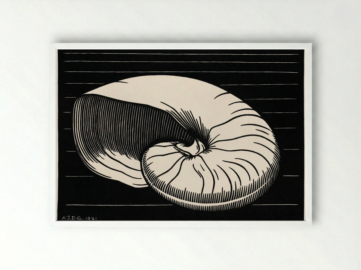 Shell - Julie de Graag - Framed Print White