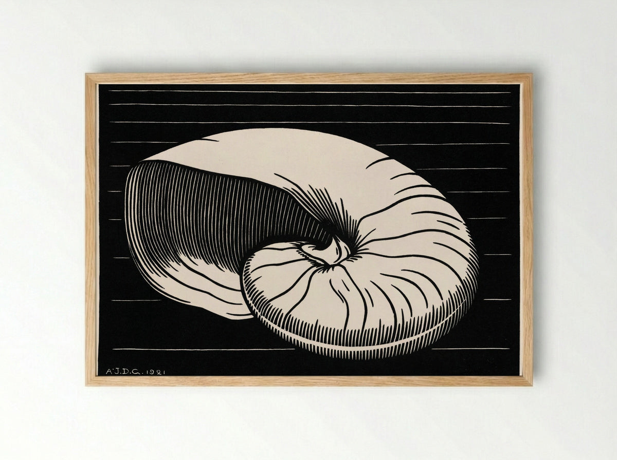 Shell - Julie de Graag - Framed Print Wood