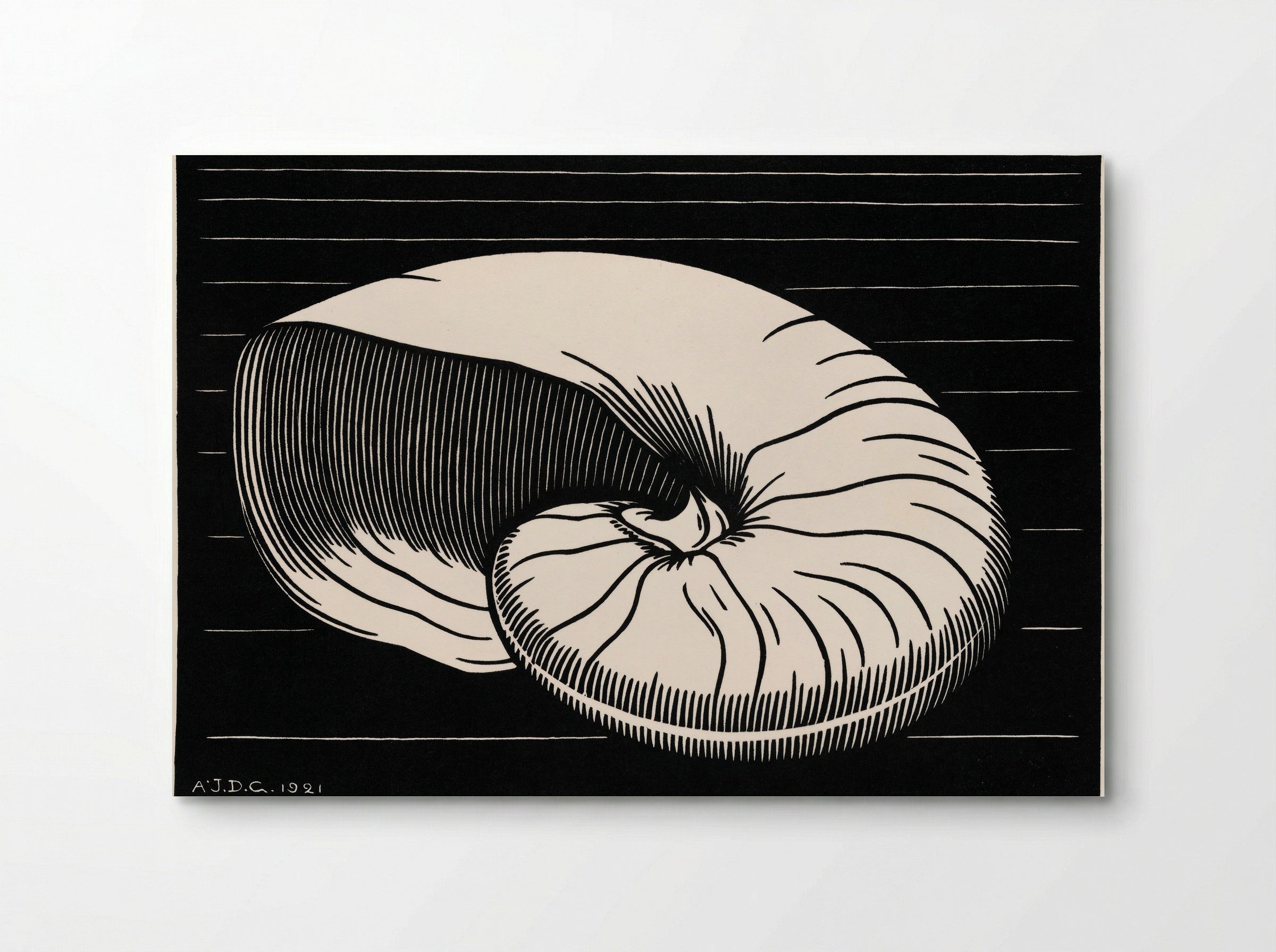 Shell - Julie de Graag - Poster