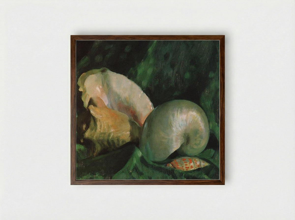 Shells - Boris Kustodiev - Framed Print Dark Wood