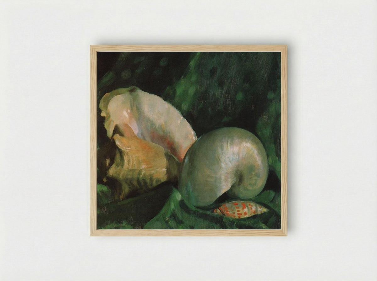 Shells - Boris Kustodiev - Framed Print Wood
