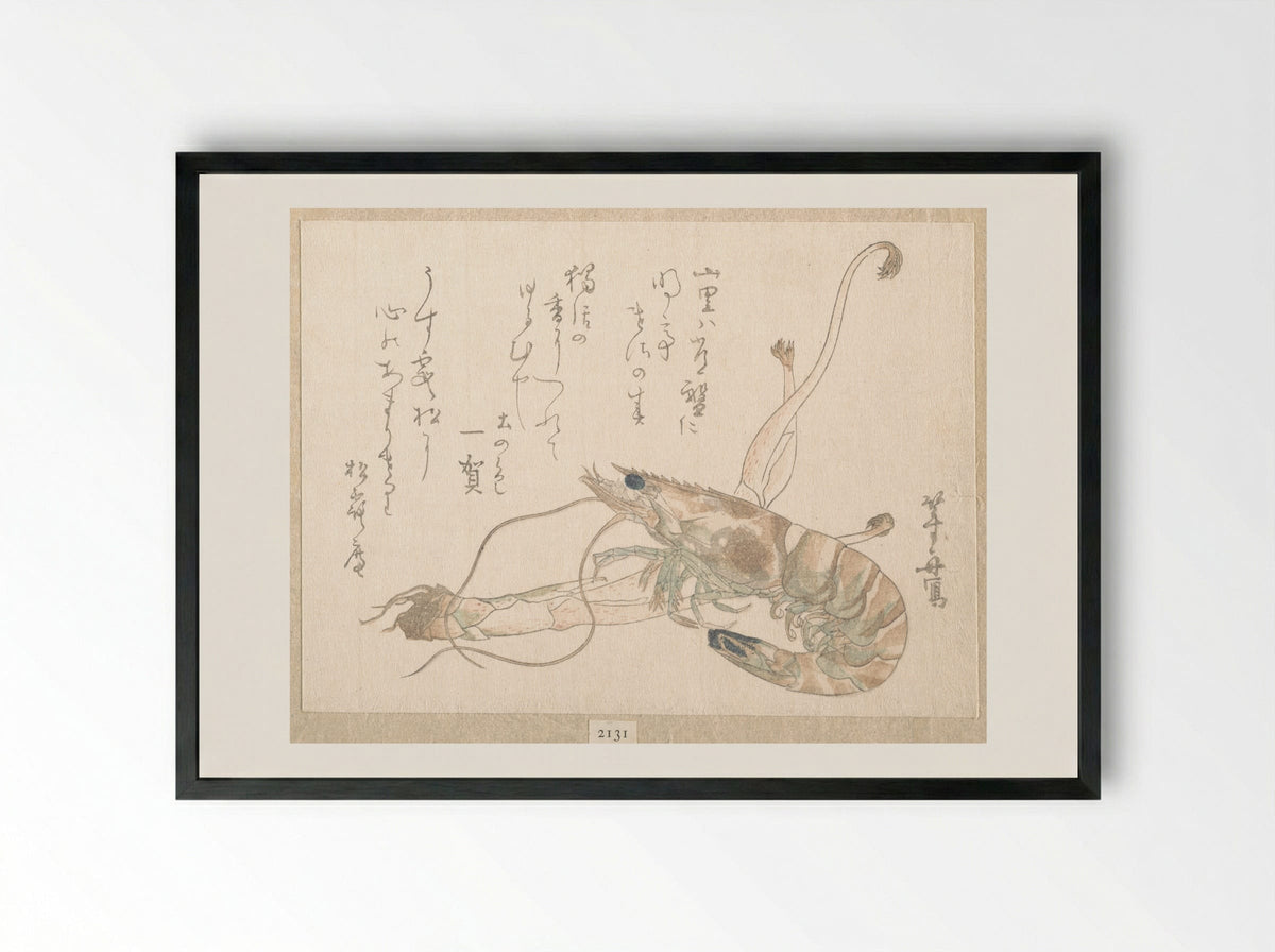 Shrimp and Udo Plant - Uematsu Tōshū - Framed Print Black