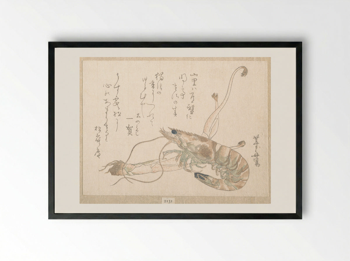 Shrimp and Udo Plant - Uematsu Tōshū - Framed Print Black