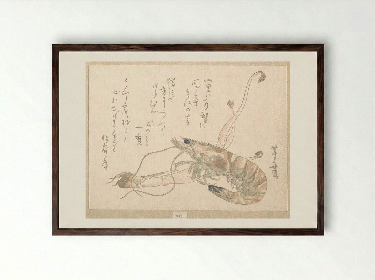 Shrimp and Udo Plant - Uematsu Tōshū - Framed Print Dark Wood