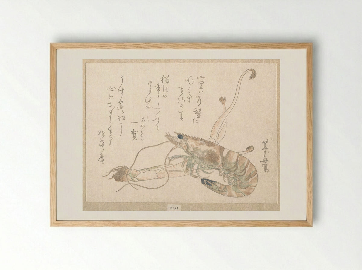 Shrimp and Udo Plant - Uematsu Tōshū - Framed Print Wood