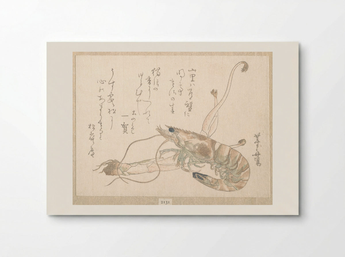 Shrimp and Udo Plant - Uematsu Tōshū - Poster
