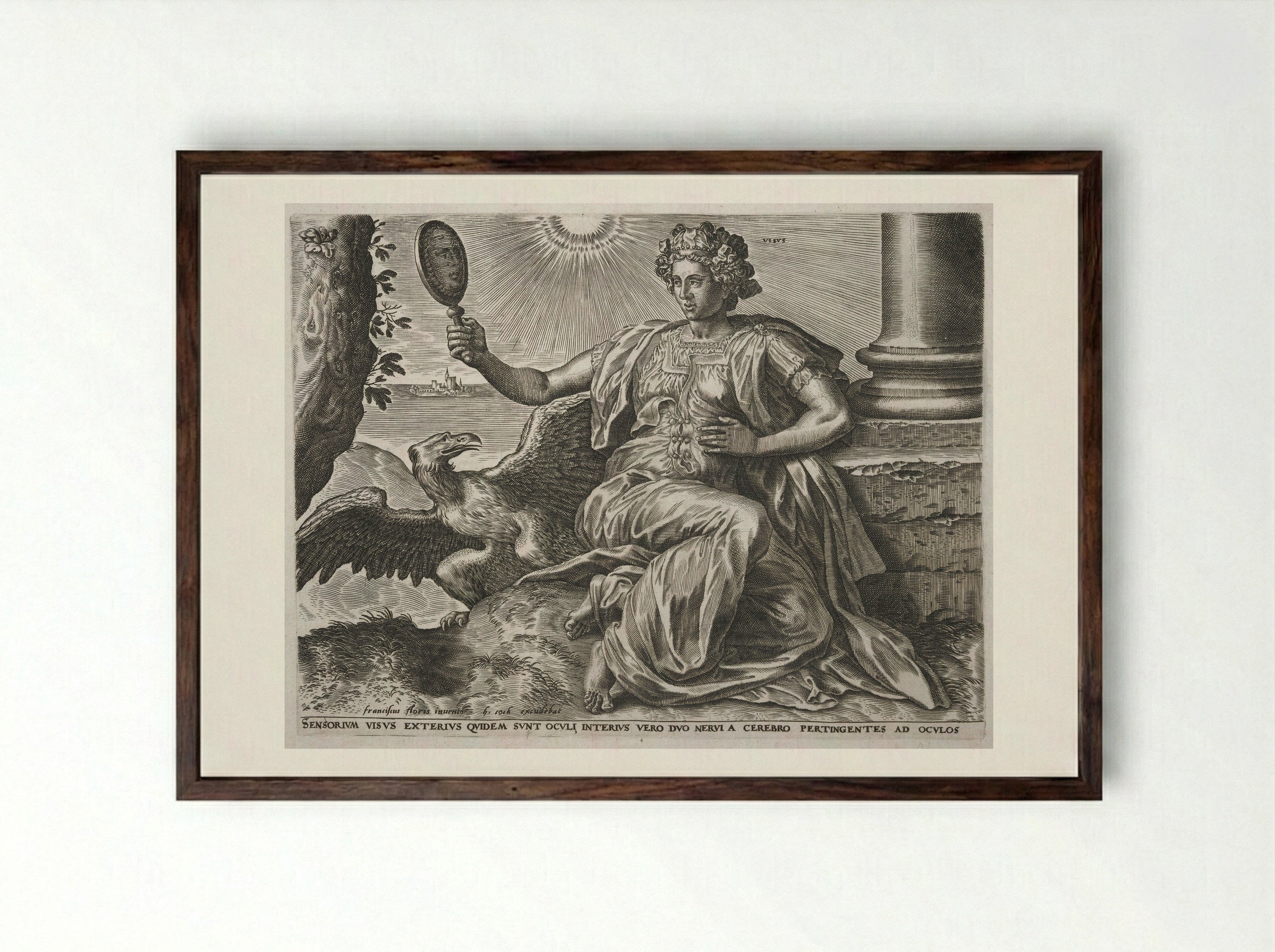 Sight - Cornelis Cort - Framed Print Dark Wood