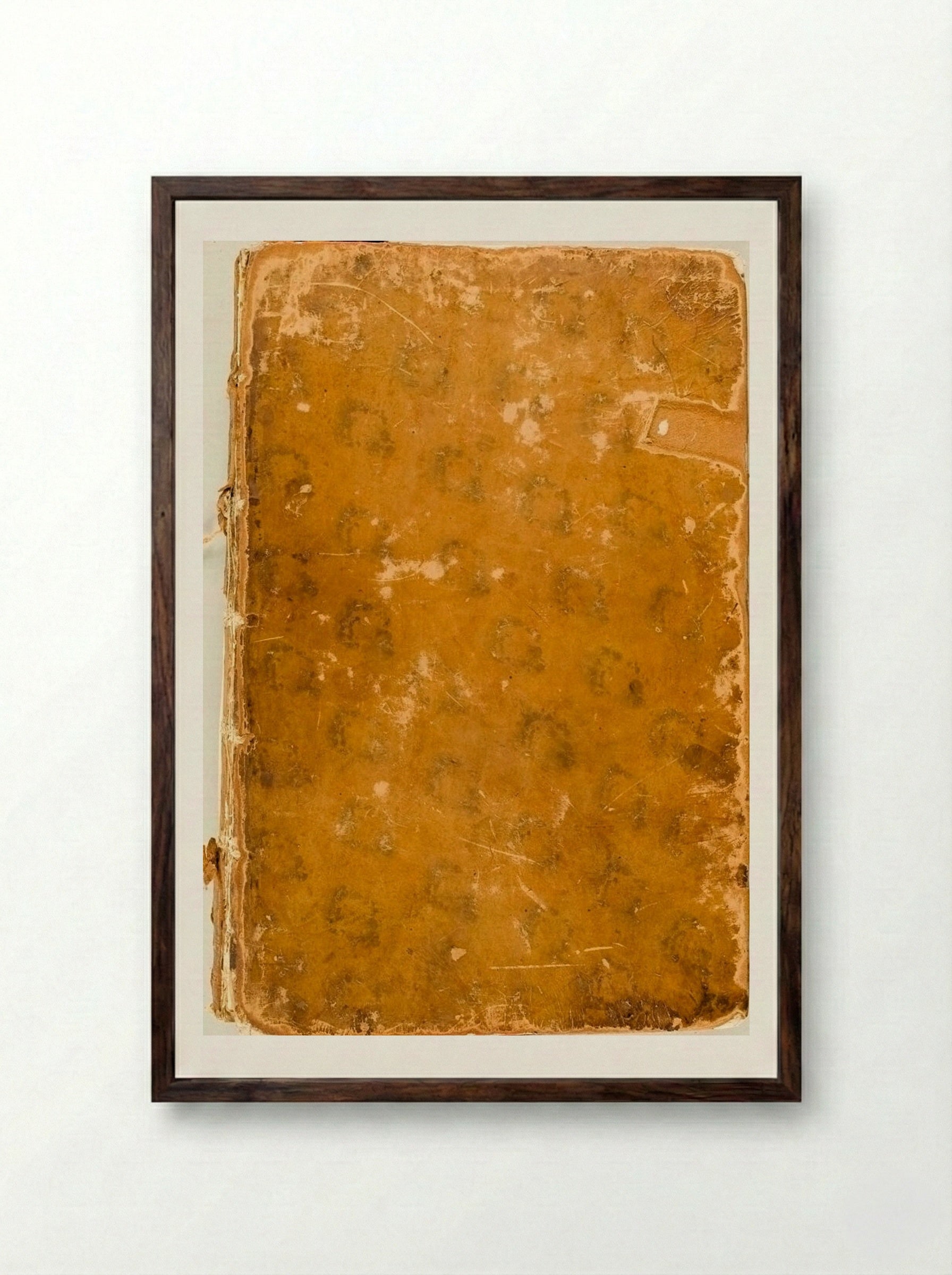 Signorum veterum icones (Binding Detail) - Jan de Bisschop - Framed Print Dark Wood