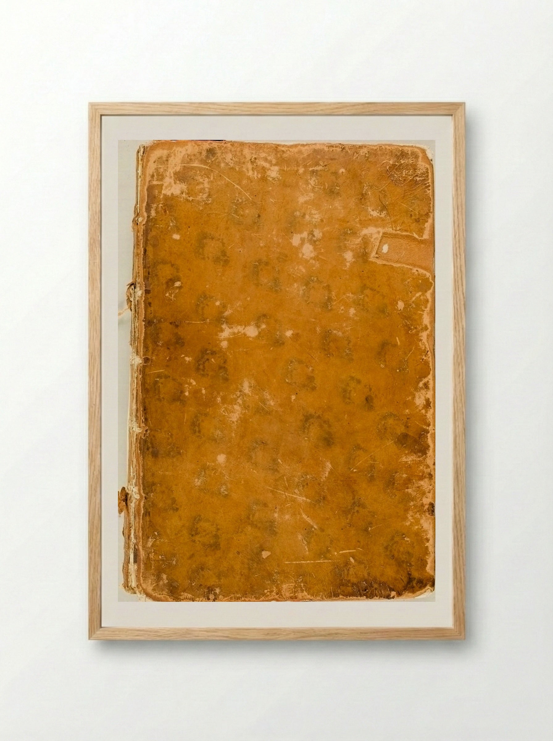 Signorum veterum icones (Binding Detail) - Jan de Bisschop - Framed Print Wood