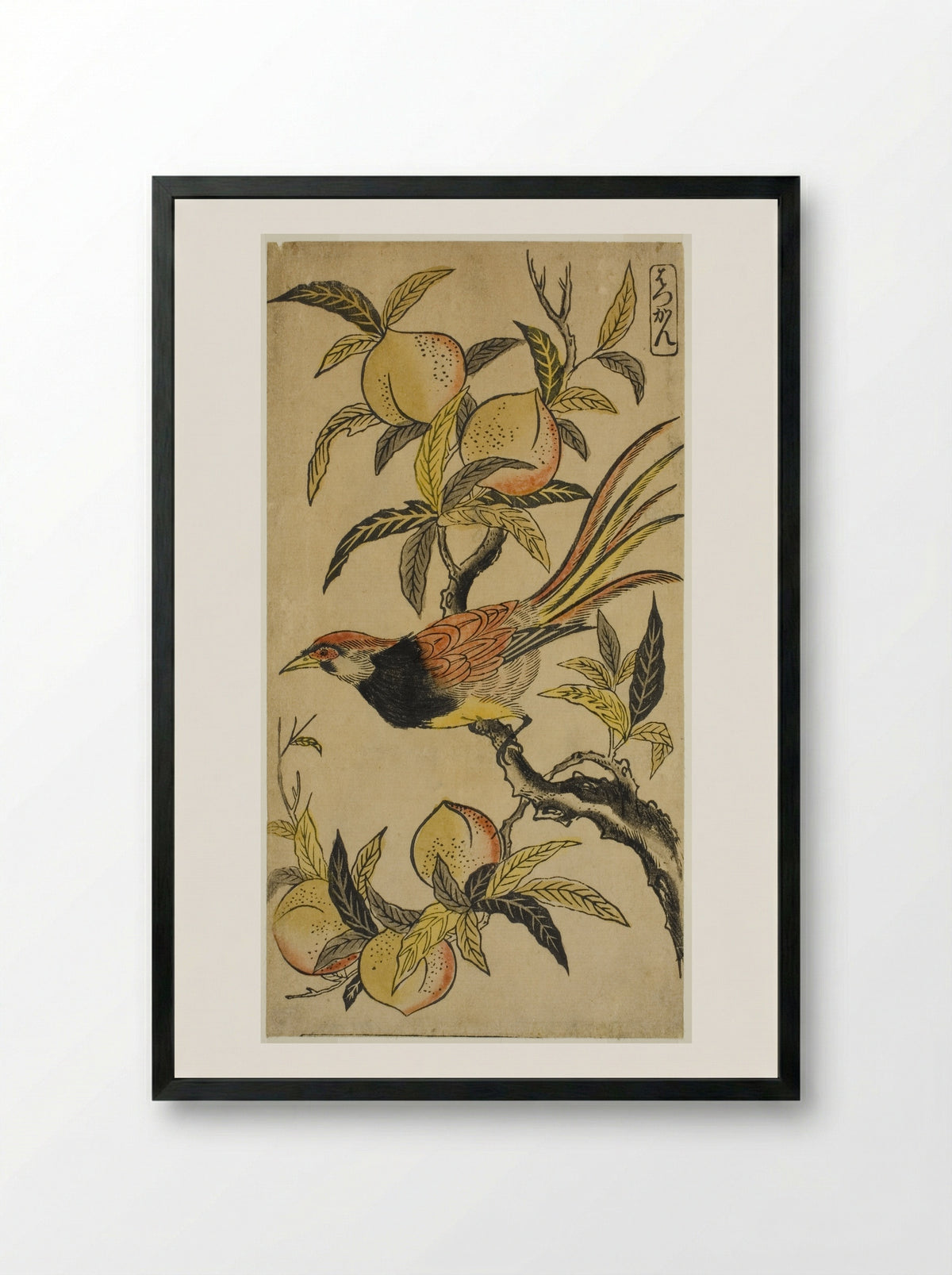 Silver Pheasant (Hakkan) - Nishimura Shigenaga - Framed Print Black