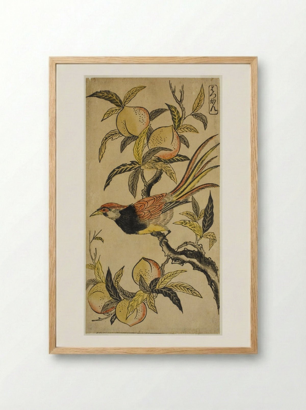 Silver Pheasant (Hakkan) - Nishimura Shigenaga - Framed Print Wood