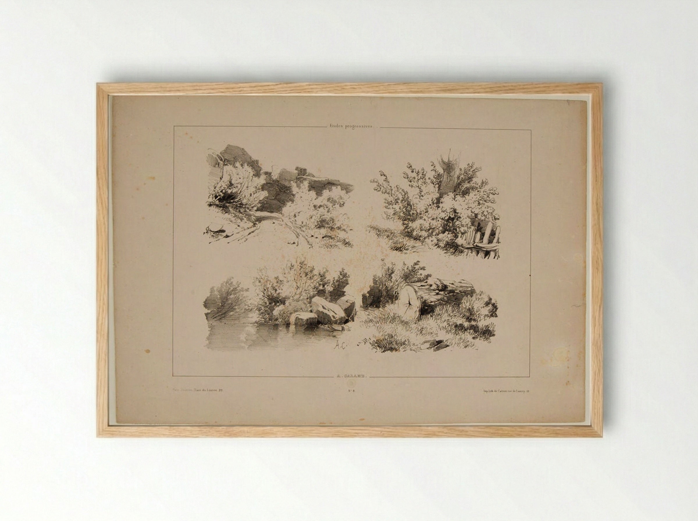 Sketches of a Path, a Fence, a Shoreline, and a Log - Alexandre Calame - Framed Print Wood