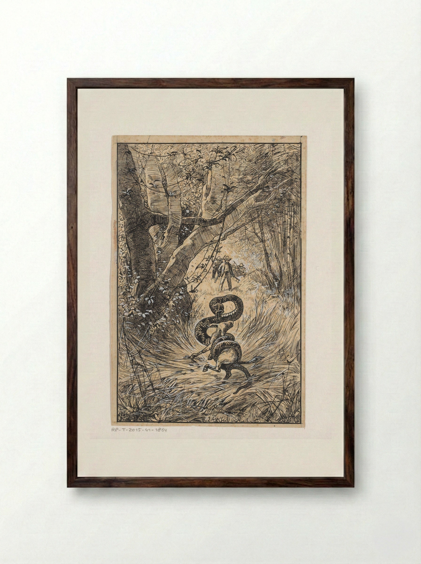Slang wurgt een geit (Snake Constricting a Goat) - Willem Wenckebach - Framed Print Dark Wood