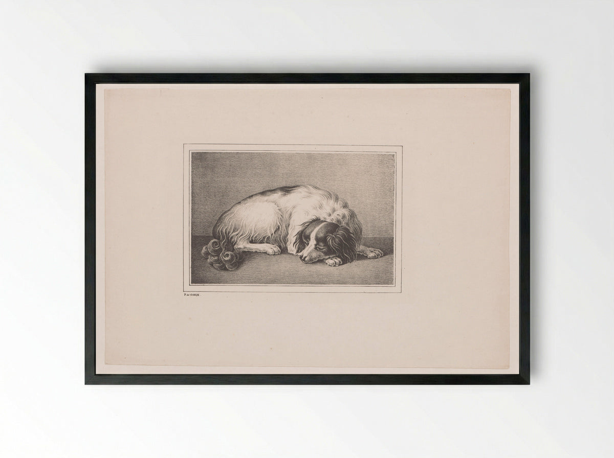 Slapende hond (Sleeping Dog) - P. de Goeje - Framed Print Black