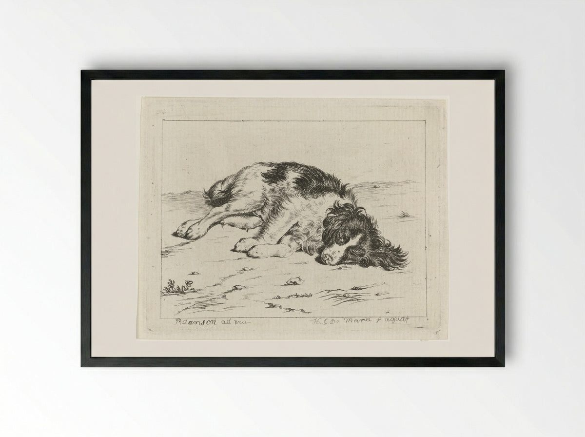 Slapende hond (Sleeping Dog) - Johannes Christiaan de Marees - Framed Print Black