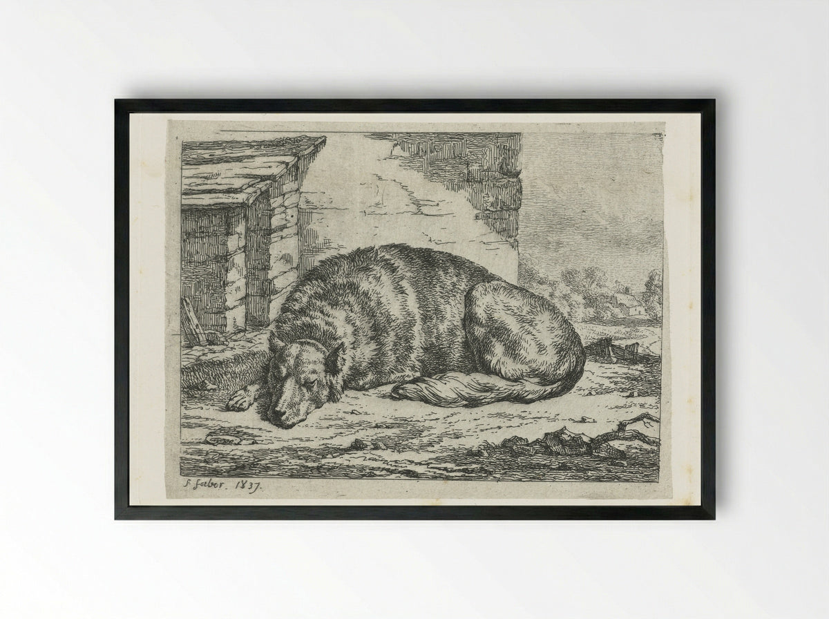 Slapende hond (Sleeping Dog) - Frederik Faber - Framed Print Black