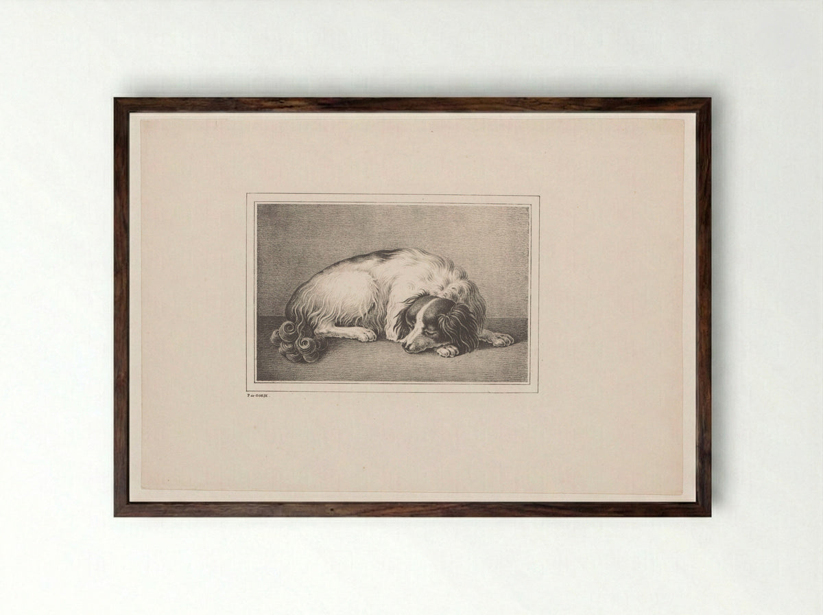 Slapende hond (Sleeping Dog) - P. de Goeje - Framed Print Dark Wood