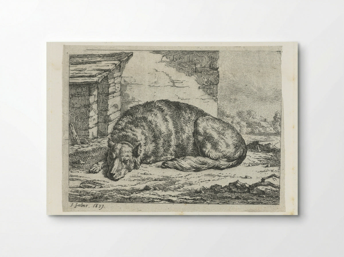 Slapende hond (Sleeping Dog) - Frederik Faber - Poster