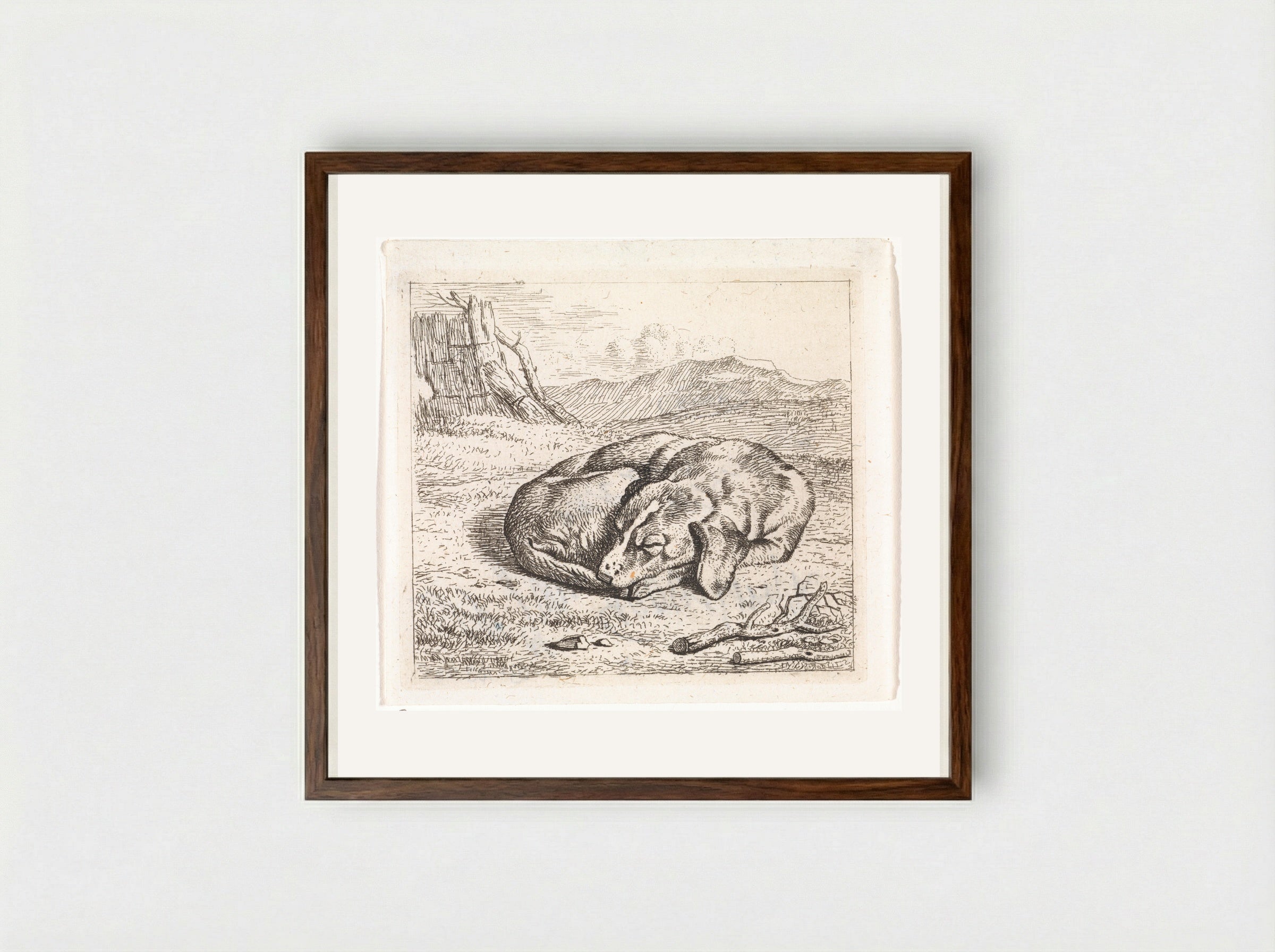 Slapende hond in landschap - Wouter Johannes van Troostwijk - Framed Print Dark Wood