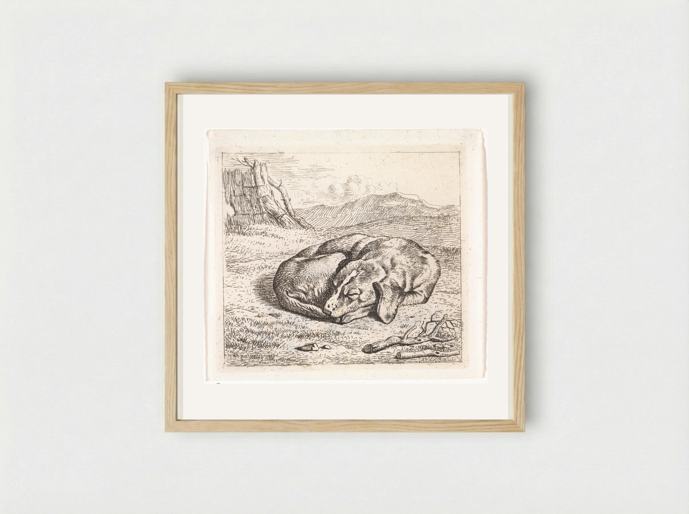 Slapende hond in landschap - Wouter Johannes van Troostwijk - Framed Print Wood