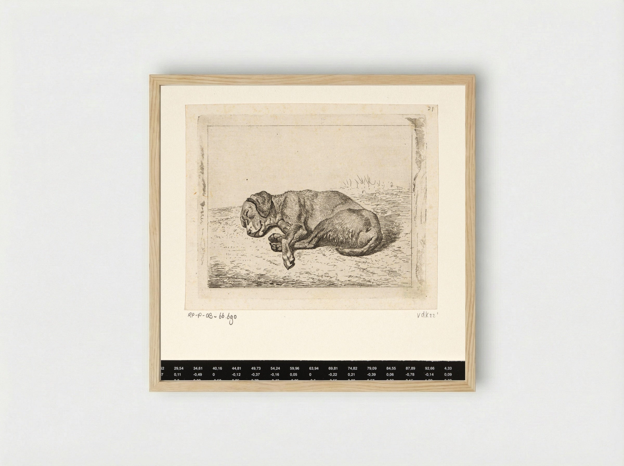 Slapende hond naar links - Wouter Johannes van Troostwijk - Framed Print Wood