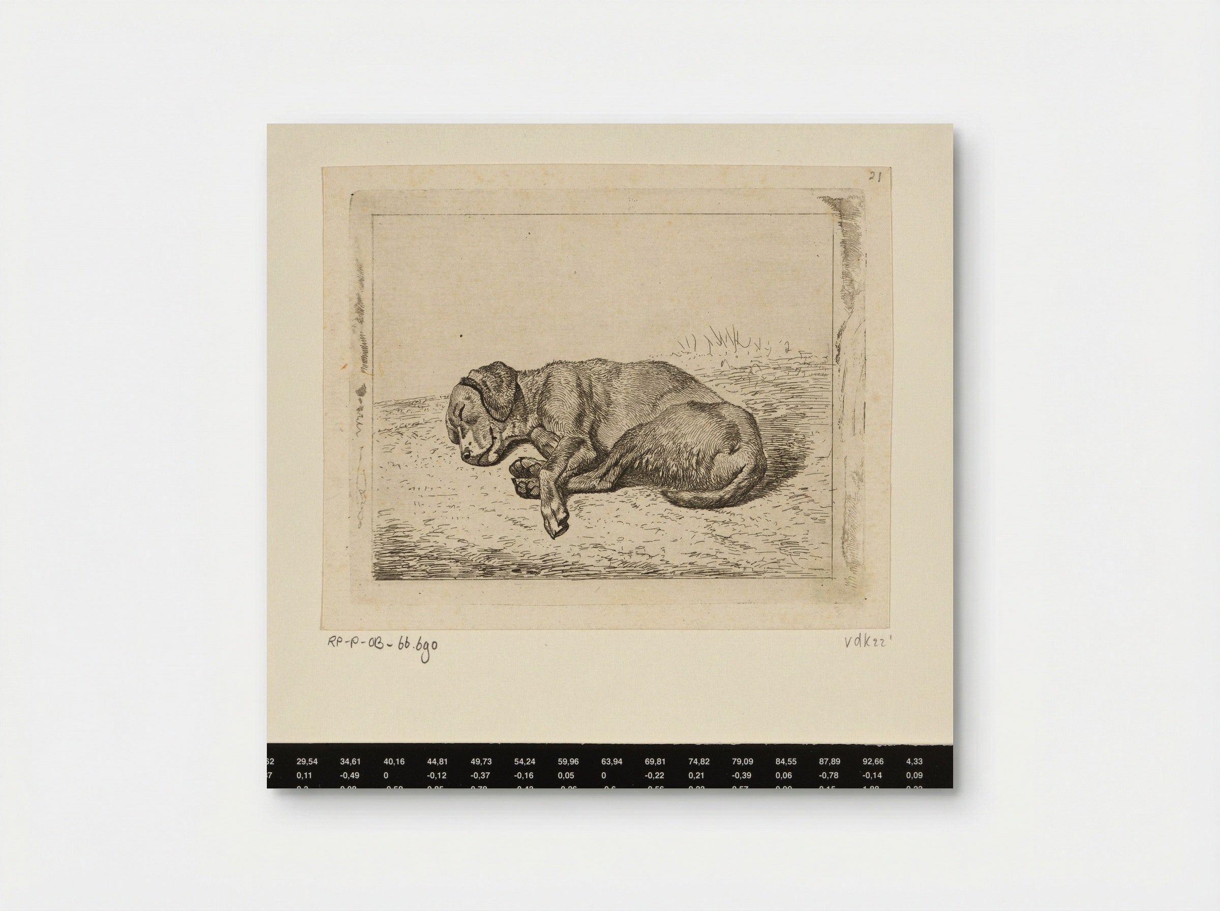 Slapende hond naar links - Wouter Johannes van Troostwijk - Poster