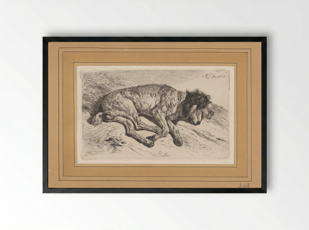 Slapende hond - Fine Art Print - Framed Print Black