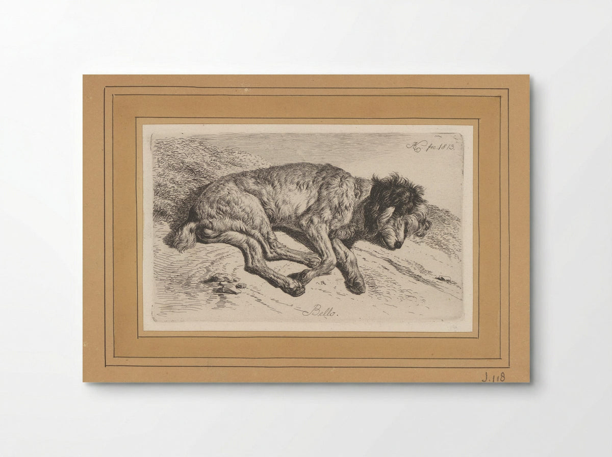 Slapende hond - Fine Art Print - Poster