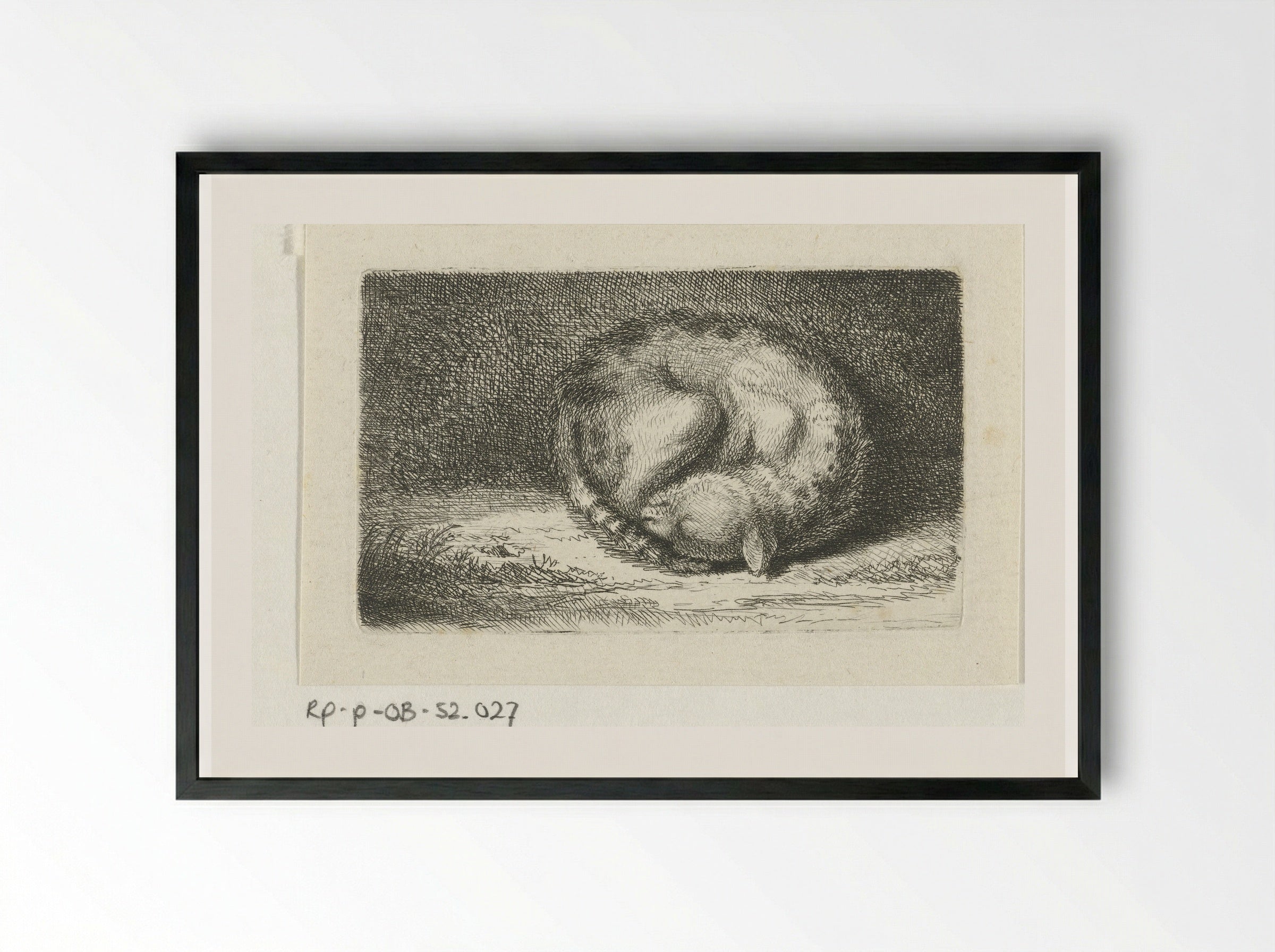 Slapende kat (Sleeping Cat) - Jacob Folkema - Framed Print Black